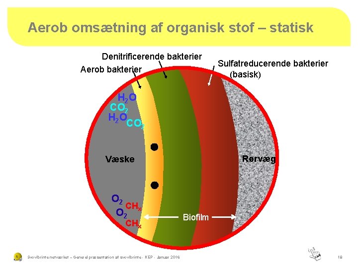 Aerob omsætning af organisk stof – statisk Denitrificerende bakterier Aerob bakterier Sulfatreducerende bakterier (basisk)