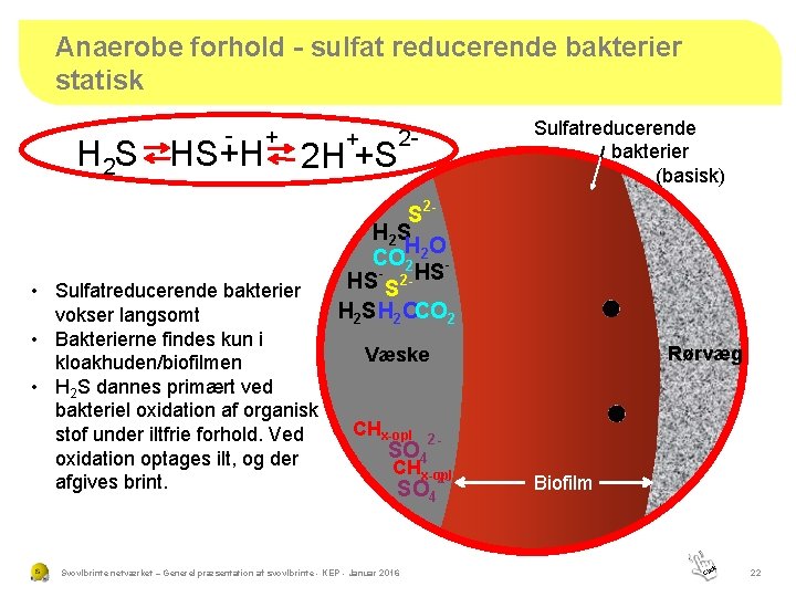 Anaerobe forhold - sulfat reducerende bakterier statisk - H 2 S HS+H + +