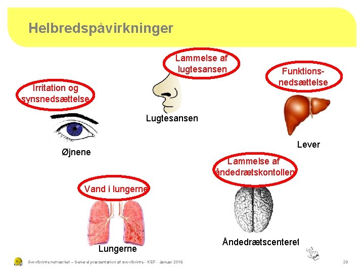 Helbredspåvirkninger Lammelse af lugtesansen Irritation og synsnedsættelse Funktionsnedsættelse Lugtesansen Lever Øjnene Lammelse af åndedrætskontollen