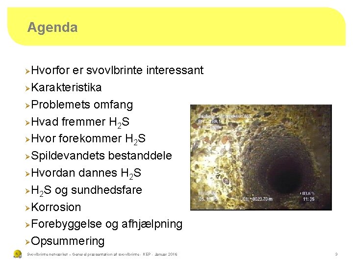 Agenda Hvorfor er svovlbrinteressant Ø Karakteristika Ø Problemets omfang Ø Hvad fremmer H 2