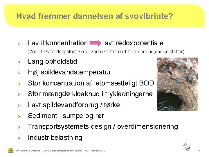 Hvad fremmer dannelsen af svovlbrinte? Ø Lav iltkoncentration lavt redoxpotentiale (Ved et lavt redoxpotentiale