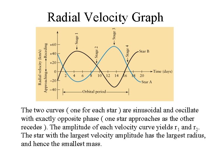 Radial Velocity Graph The two curves ( one for each star ) are sinusoidal