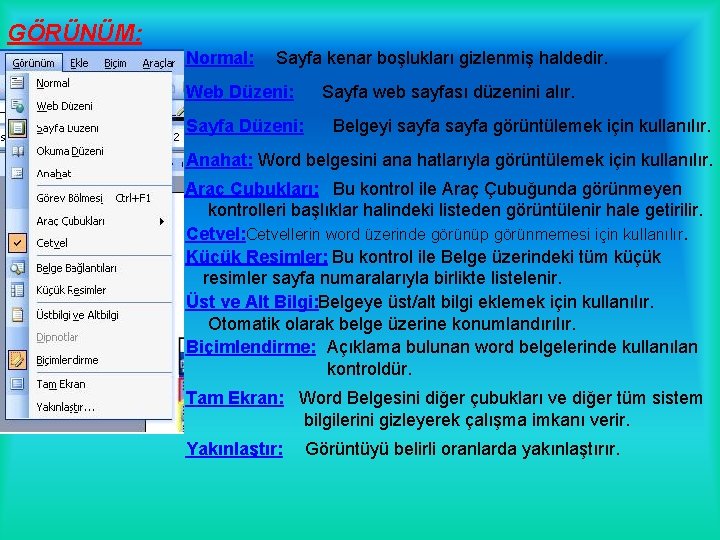 GÖRÜNÜM: Normal: Sayfa kenar boşlukları gizlenmiş haldedir. Web Düzeni: Sayfa Düzeni: Sayfa web sayfası