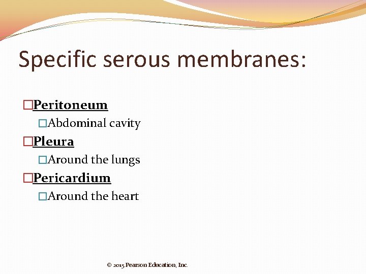 Specific serous membranes: �Peritoneum �Abdominal cavity �Pleura �Around the lungs �Pericardium �Around the heart