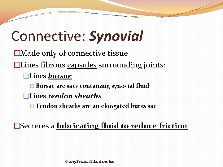 Connective: Synovial �Made only of connective tissue �Lines fibrous capsules surrounding joints: �Lines bursae