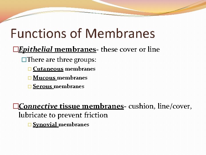 Functions of Membranes �Epithelial membranes- these cover or line �There are three groups: �