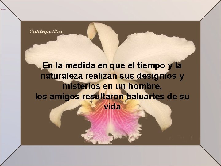 En la medida en que el tiempo y la naturaleza realizan sus designios y