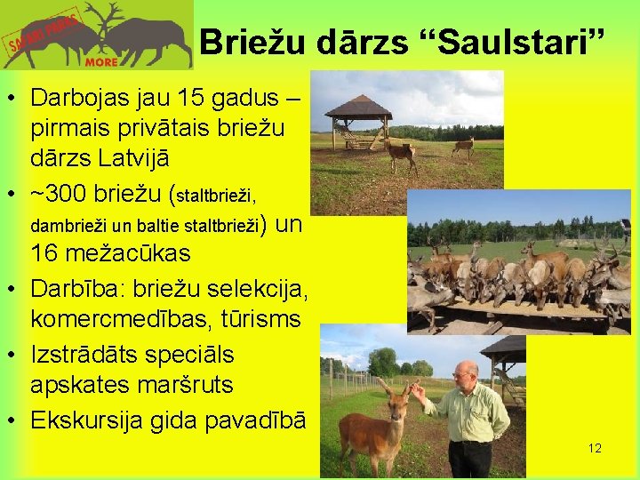 Briežu dārzs “Saulstari” • Darbojas jau 15 gadus – pirmais privātais briežu dārzs Latvijā