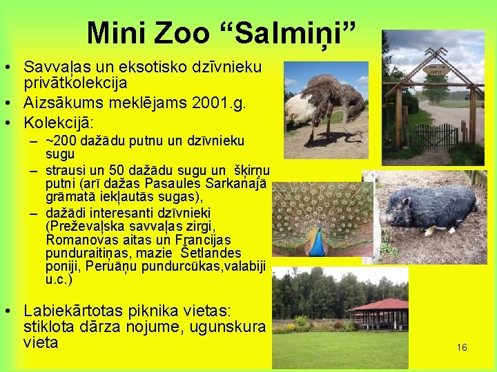 Mini Zoo “Salmiņi” • Savvaļas un eksotisko dzīvnieku privātkolekcija • Aizsākums meklējams 2001. g.