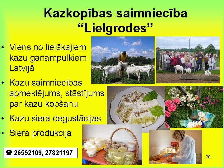 Kazkopības saimniecība “Lielgrodes” • Viens no lielākajiem kazu ganāmpulkiem Latvijā • Kazu saimniecības apmeklējums,