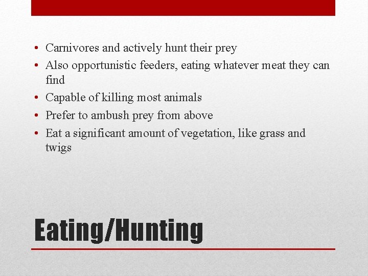  • Carnivores and actively hunt their prey • Also opportunistic feeders, eating whatever