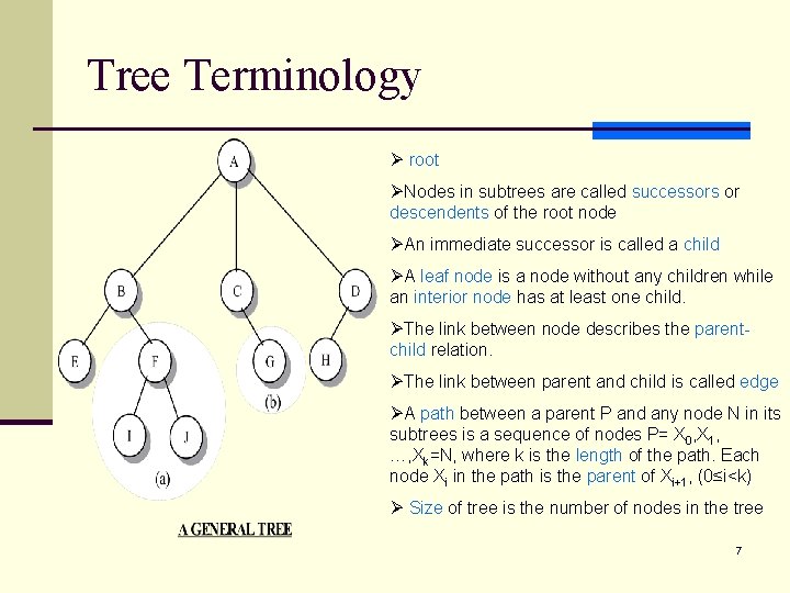 Tree Terminology Ø root ØNodes in subtrees are called successors or descendents of the
