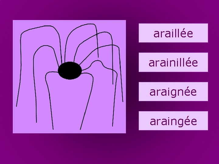 9. araignée araillée arainillée araignée araingée 