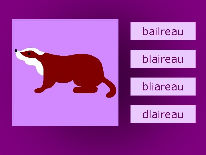 25. blaireau bailreau blaireau bliareau dlaireau 