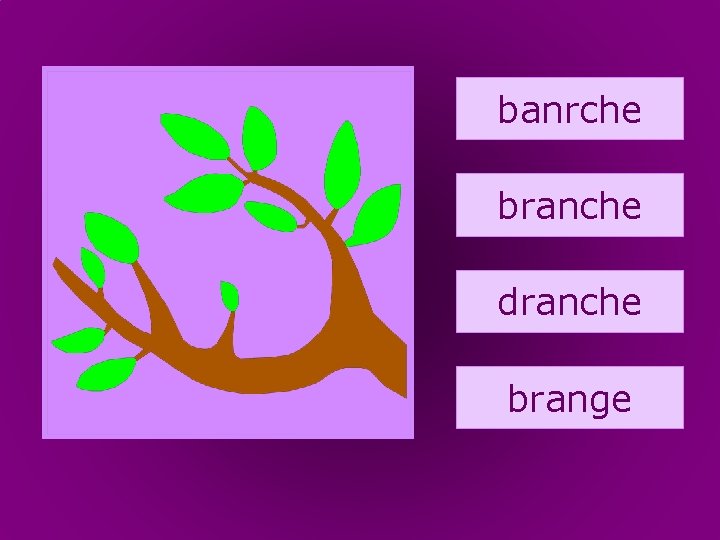 29. branche banrche branche dranche brange 