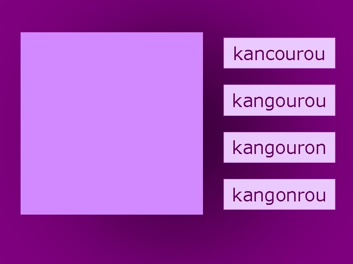 40. kangourou kancourou kangouron kangonrou 