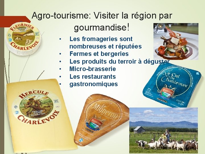 13 Agro-tourisme: Visiter la région par gourmandise! • • • Les fromageries sont nombreuses