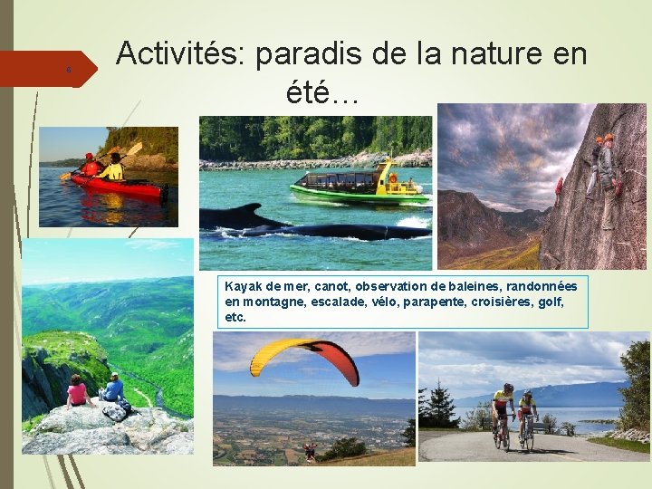 6 Activités: paradis de la nature en été… Kayak de mer, canot, observation de