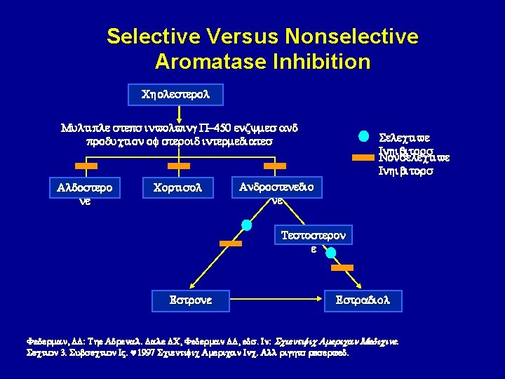 Selective Versus Nonselective Aromatase Inhibition Cholesterol Multiple steps involving P-450 enzymes and production of