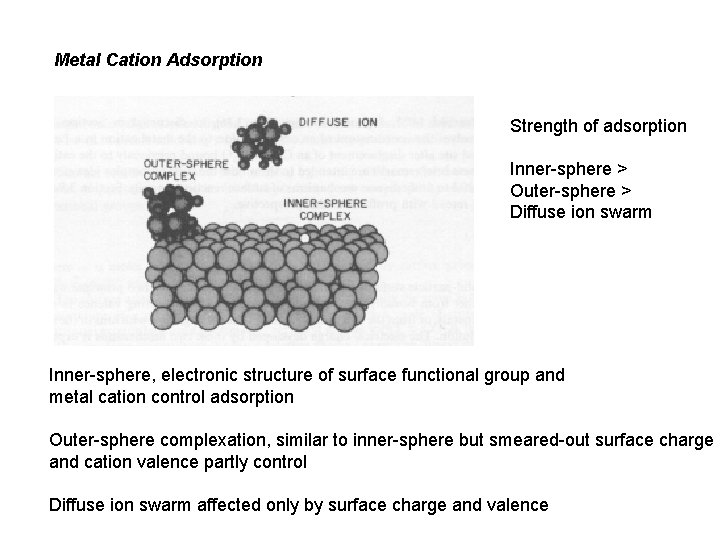 Metal Cation Adsorption Strength of adsorption Inner-sphere > Outer-sphere > Diffuse ion swarm Inner-sphere,