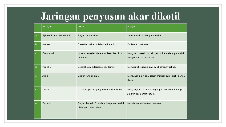 Jaringan penyusun akar dikotil Jaringan Letak Fungsi a. Epidermis atau eksodermis Bagian terluar akar.