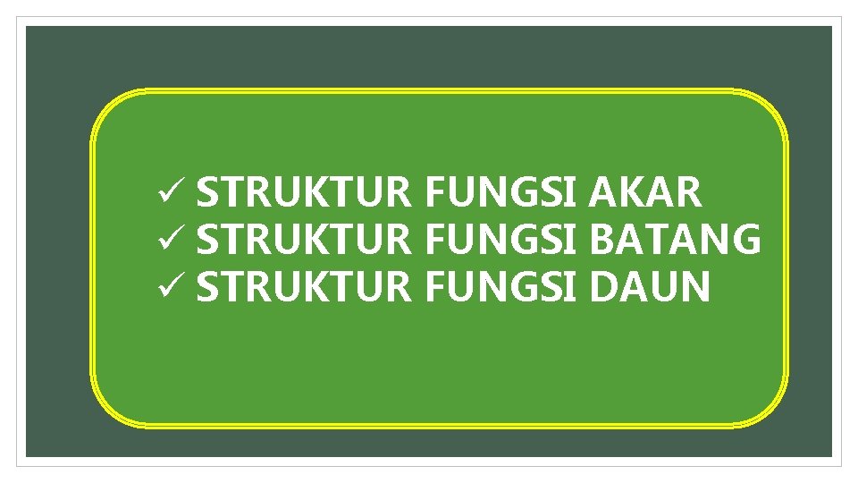 ü STRUKTUR FUNGSI AKAR ü STRUKTUR FUNGSI BATANG ü STRUKTUR FUNGSI DAUN 