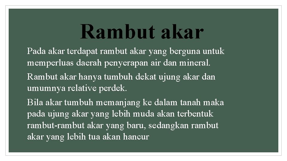 Rambut akar Pada akar terdapat rambut akar yang berguna untuk memperluas daerah penyerapan air