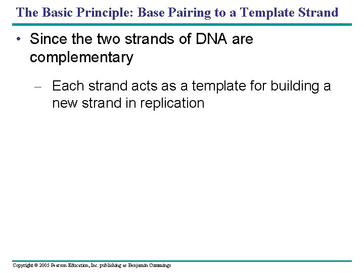 The Basic Principle: Base Pairing to a Template Strand • Since the two strands