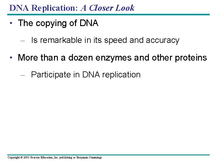 DNA Replication: A Closer Look • The copying of DNA – Is remarkable in