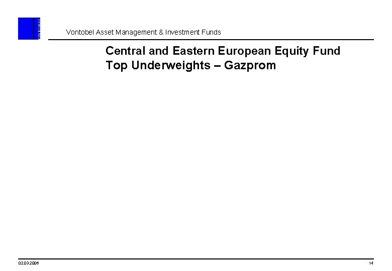 Vontobel Asset Management & Investment Funds Central and Eastern European Equity Fund Top Underweights