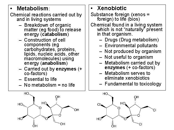  • Metabolism: • Xenobiotic Chemical reactions carried out by and in living systems
