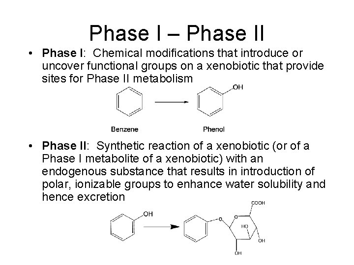 Phase I – Phase II • Phase I: Chemical modifications that introduce or uncover