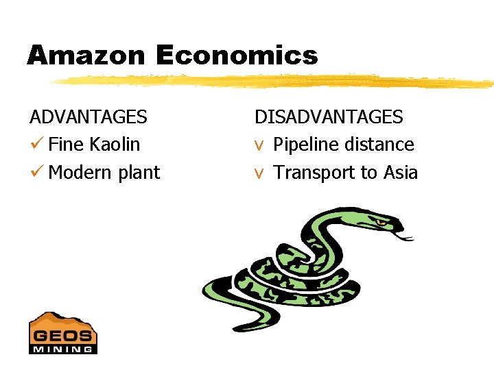 Amazon Economics ADVANTAGES ü Fine Kaolin ü Modern plant DISADVANTAGES v Pipeline distance v