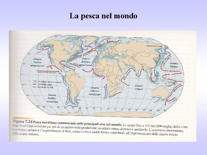 La pesca nel mondo 