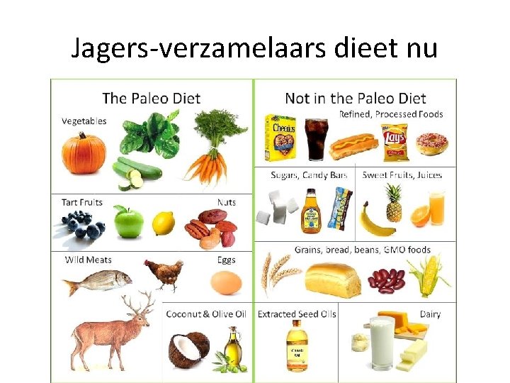 Jagers-verzamelaars dieet nu 