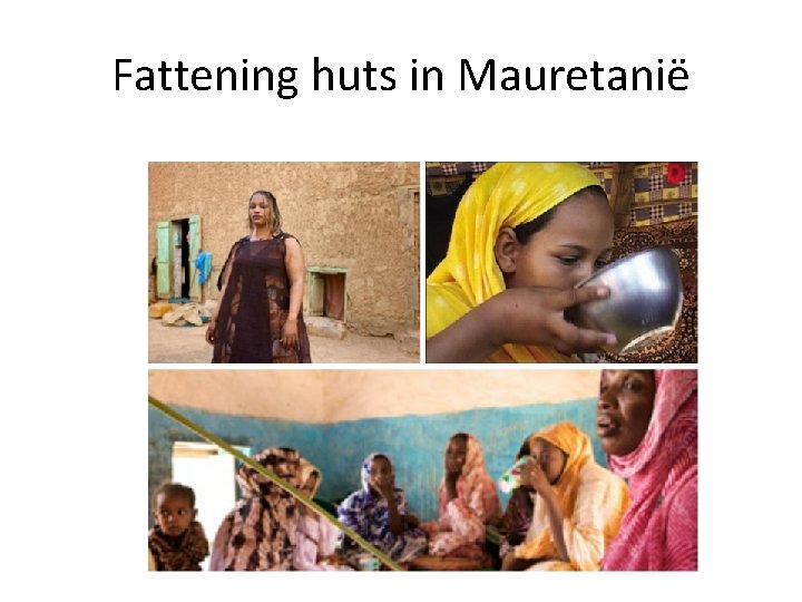 Fattening huts in Mauretanië 