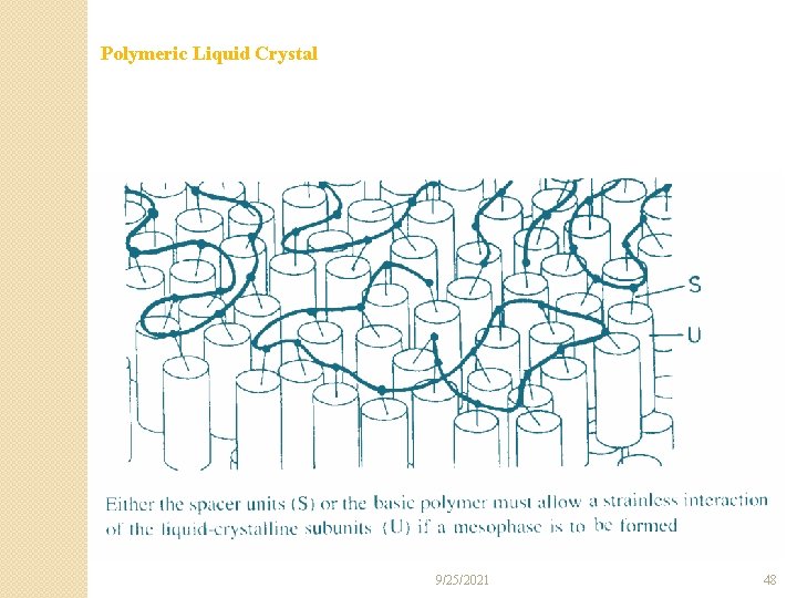 Polymeric Liquid Crystal 9/25/2021 48 