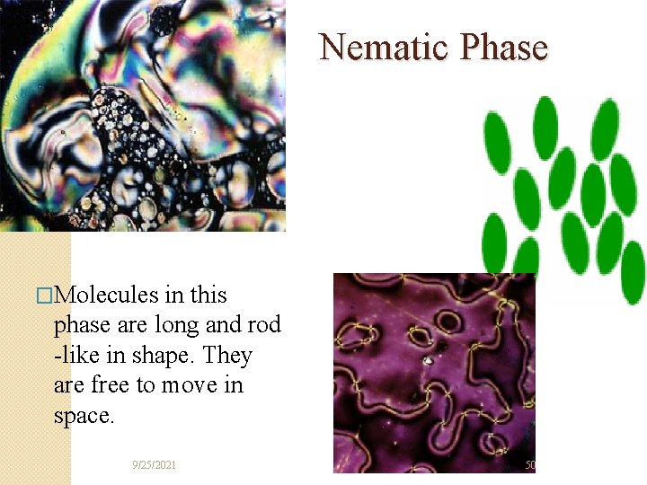Nematic Phase �Molecules in this phase are long and rod -like in shape. They