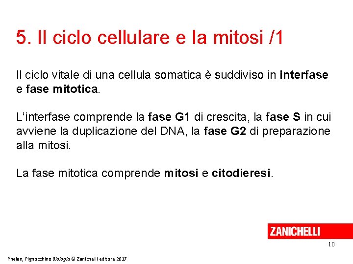 5. Il ciclo cellulare e la mitosi /1 Il ciclo vitale di una cellula