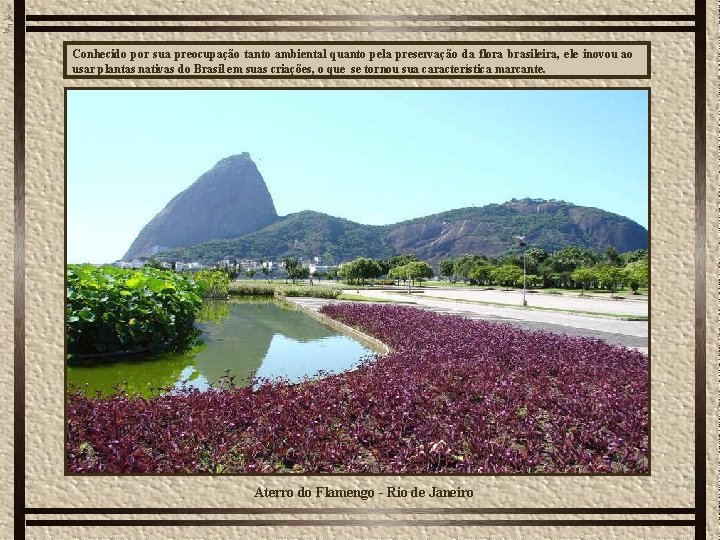 Conhecido por sua preocupação tanto ambiental quanto pela preservação da flora brasileira, ele inovou