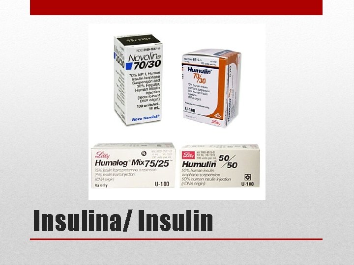 Insulina/ Insulin 