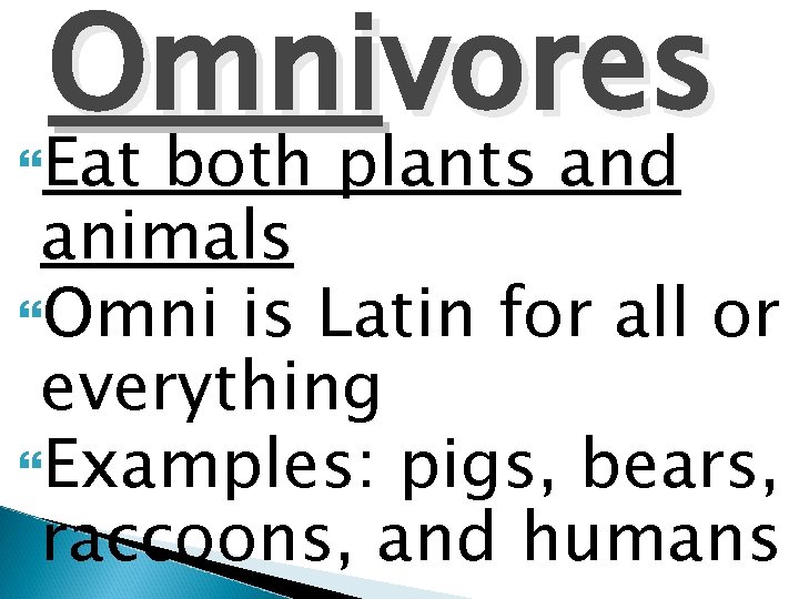 Omnivores Eat both plants and animals Omni is Latin for all or everything Examples: