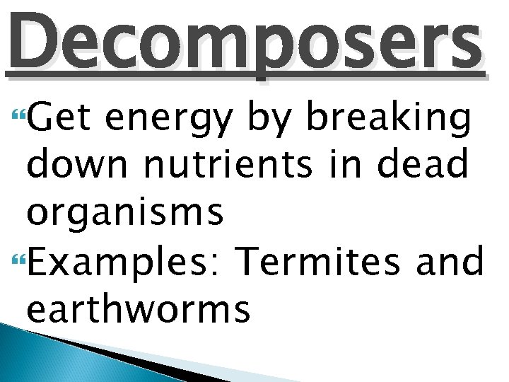 Decomposers Get energy by breaking down nutrients in dead organisms Examples: Termites and earthworms