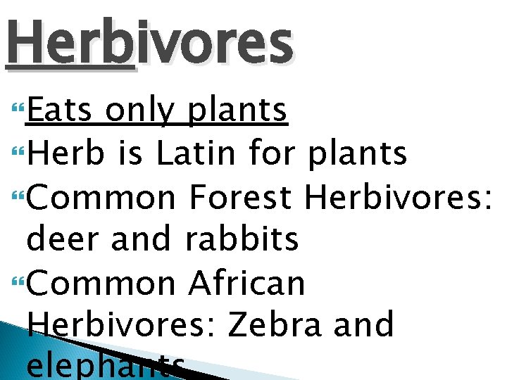 Herbivores Eats only plants Herb is Latin for plants Common Forest Herbivores: deer and