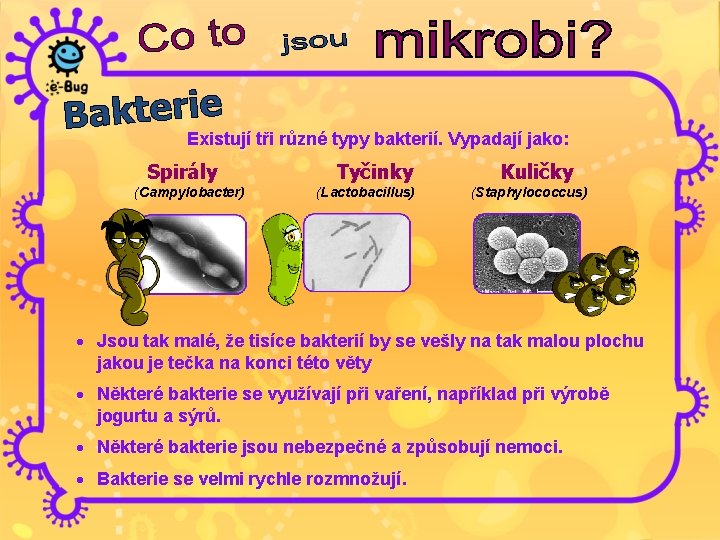 Existují tři různé typy bakterií. Vypadají jako: Spirály (Campylobacter) Tyčinky (Lactobacillus) Kuličky (Staphylococcus) ·