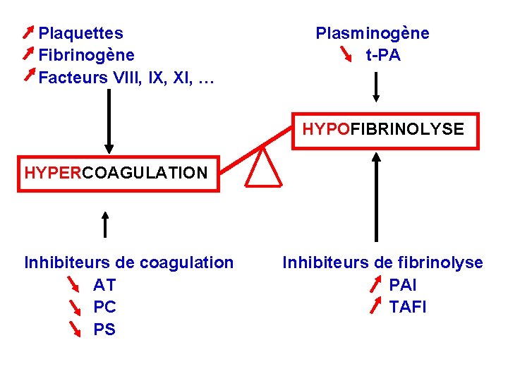 Plaquettes Fibrinogène Facteurs VIII, IX, XI, … Plasminogène t-PA HYPOFIBRINOLYSE HYPERCOAGULATION Inhibiteurs de coagulation