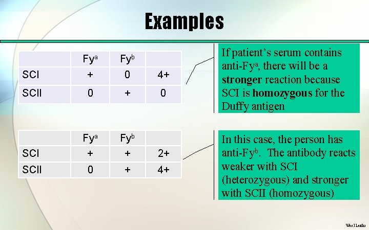 Examples Fya Fyb SCI + 0 4+ SCII 0 + 0 SCI Fya +