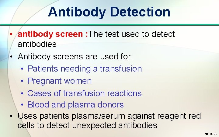 Antibody Detection • antibody screen : The test used to detect antibodies • Antibody