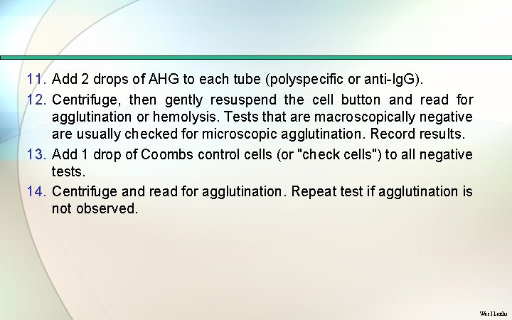 11. Add 2 drops of AHG to each tube (polyspecific or anti Ig. G).
