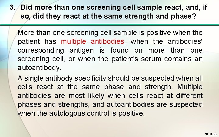 3. Did more than one screening cell sample react, and, if so, did they